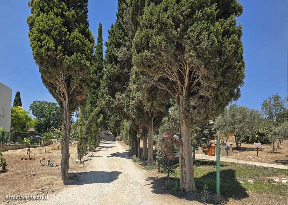 Merhavia - Heritage Sites in Israel - The Avenue of Kisses - Derech HeHaruv 1, Merhavia, 19100, Israel