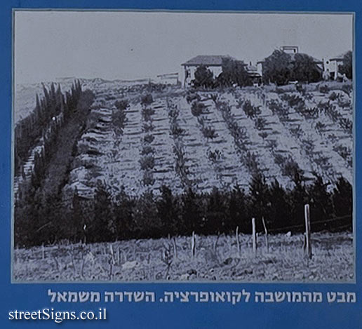 Merhavia - Heritage Sites in Israel - The Avenue of Kisses - Derech HeHaruv 1, Merhavia, 19100, Israel