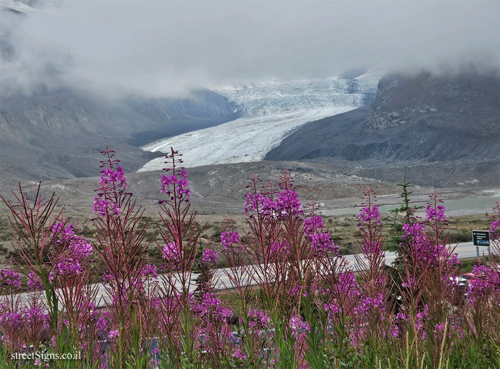 Jasper - Directional sign in the Columbia Icefield - 93 Icefields Pkwy, Jasper, AB T0E 1E0, Canada