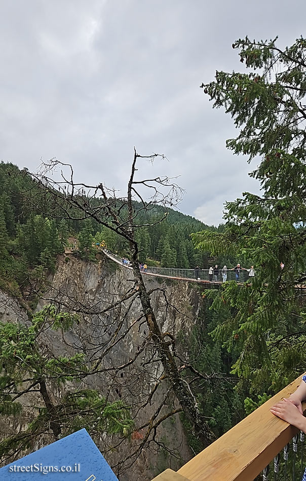 Golden - Golden Skybridge - 2726 Golden Donald Upper Rd, Golden, BC V0A 1H1, Canada